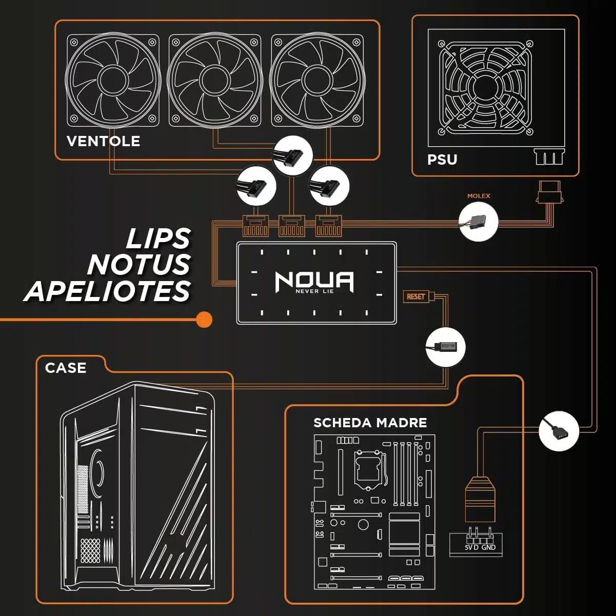 Lips Kit Black - immagine 5